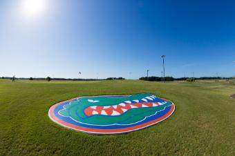 Photo of turfgrass with Florida Gator logo in the middle