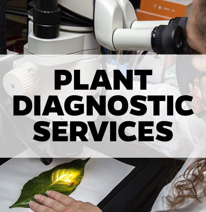 plant diagnostic services