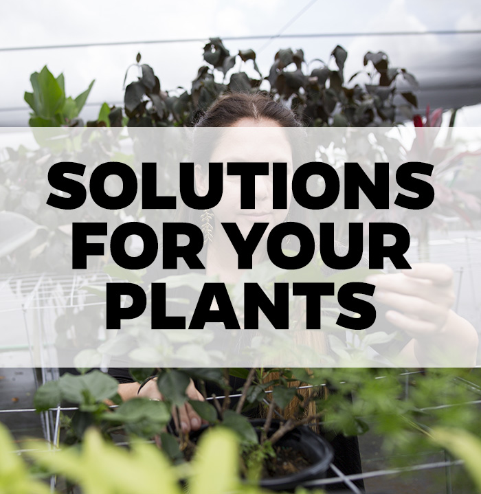 Solutions for your Plants