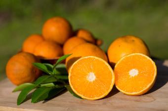 Photo of oranges sliced in half and facing the camera