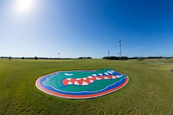 Photo of turfgrass with Florida Gator logo in the middle