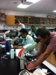 mycology students looking through microscopes during lab