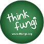 Fundación Fungi